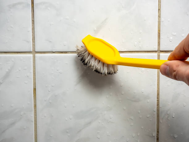 Best Emergency Mold Removal  in Clarkdale, AZ