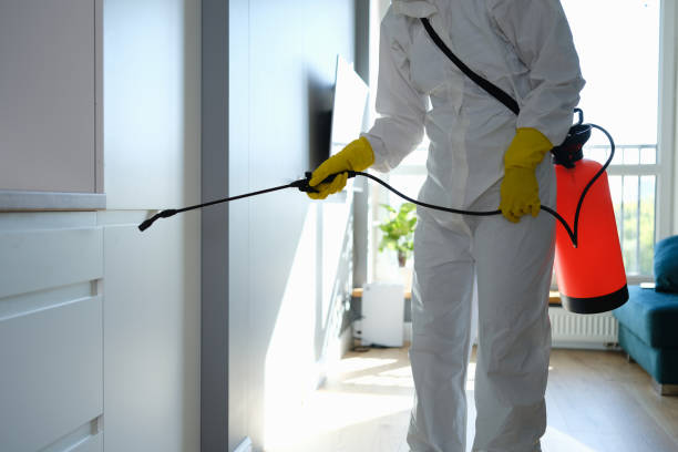 Best Residential Mold Removal  in Clarkdale, AZ