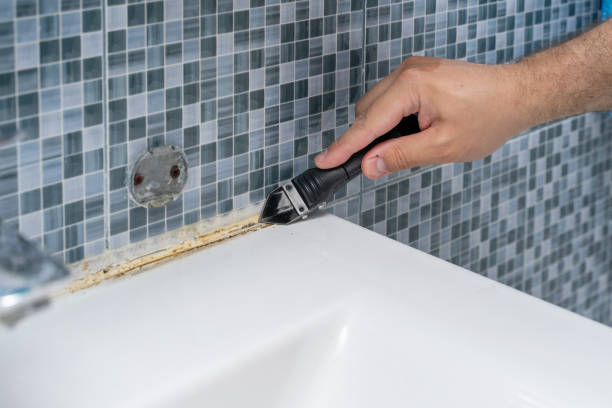 Best Toxic Mold Removal  in Clarkdale, AZ