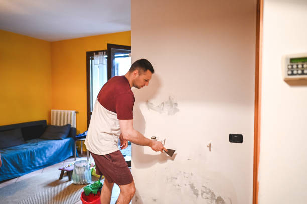Home Mold Removal in Clarkdale, AZ